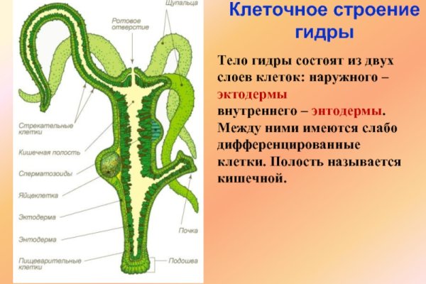 Кракен 17 рабочая ссылка